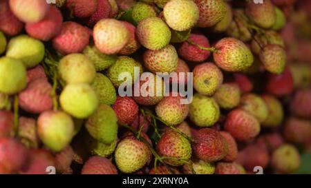 Reife Litschis, bereit zum Verkauf auf dem Markt. Lebhafte Farben und saftige süße Früchte. Litschi, Litchi Stockfoto