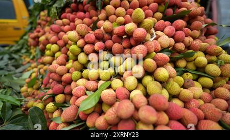 Reife Litschis, bereit zum Verkauf auf dem Markt. Lebhafte Farben und saftige süße Früchte. Litschi, Litchi Stockfoto