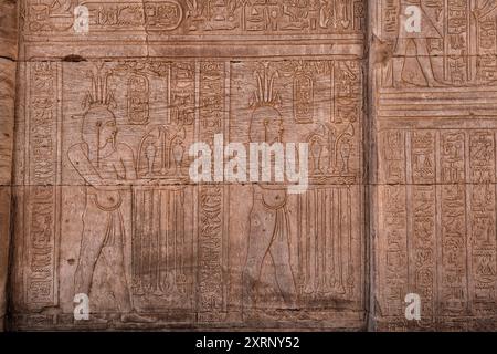 BAS-Reliefs im KOM Ombo-Tempel von Sobek und Haroeris Stockfoto