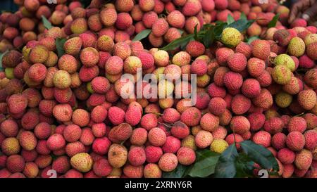 Reife Litschis, bereit zum Verkauf auf dem Markt. Lebhafte Farben und saftige süße Früchte. Litschi, Litchi Stockfoto