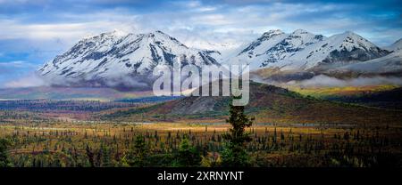 Herbstfarben in der Gegend um den Trail Lake und den Butt Lake am Fuße des Knob Hill im Matanuska Valley Stockfoto