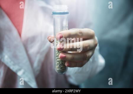 Wissenschaftler, der ein Reagenzglas mit Samen im Labor hält und sich auf Agrarforschung oder Gentechnik konzentriert. Konzept der Biotechnologie, Pflanzenzüchtung und Ernährungssicherheit. Stockfoto