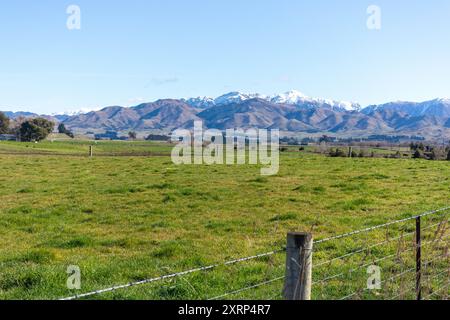 Landwirtschaft von Paddocks und Bergen in der Nähe von Culverdon, North Canterbury, Region Canterbury, Südinsel, Neuseeland Stockfoto