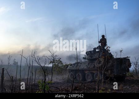 US-Marines mit Alpha Company, 1st Light Armored Reconnaissance Battalion, 1st Marine Division, unterdrücken simulierte feindliche Positionen von einer Unterstützung durch Feuer Position als Teil einer kombinierten Waffen-Live-Feuerübung während der Übung Predator’s Run 24 im Mount Bundey Training Area, NT, Australien, 5. August 2024. Während der Rapid Deployment Übung entsandte die 1st LAR schnell vom Marine Corps Base Camp Pendleton, Kalifornien, USA, nach Australien, mit strategischem Aufzug und Schiene, um an der 1. Brigade teilzunehmen, geführt von der australischen Armee, Übung Predator’s Run 24. Exercise Predator's Run 24 bietet Marine Rotation F Stockfoto