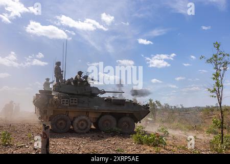 US-Marines mit Alpha Company, 1st Light Armored Reconnaissance Battalion, 1st Marine Division, unterdrücken simulierte feindliche Positionen aus einer defensiven Position als Teil einer kombinierten Waffen-Live-Feuerübung während der Übung Predator’s Run 24 im Mount Bundey Training Area, NT, Australien, 5. August 2024. Während der Rapid Deployment Übung entsandte die 1st LAR schnell vom Marine Corps Base Camp Pendleton, Kalifornien, USA, nach Australien, mit strategischem Aufzug und Schiene, um an der 1. Brigade teilzunehmen, geführt von der australischen Armee, Übung Predator’s Run 24. Exercise Predator's Run 24 bietet Marine Rotationskraft – Stockfoto