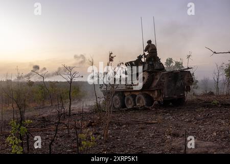 US-Marines mit Alpha Company, 1st Light Armored Reconnaissance Battalion, 1st Marine Division, unterdrücken simulierte feindliche Positionen von einer Unterstützung durch Feuer Position als Teil einer kombinierten Waffen-Live-Feuerübung während der Übung Predator’s Run 24 im Mount Bundey Training Area, NT, Australien, 5. August 2024. Während der Rapid Deployment Übung entsandte die 1st LAR schnell vom Marine Corps Base Camp Pendleton, Kalifornien, USA, nach Australien, mit strategischem Aufzug und Schiene, um an der 1. Brigade teilzunehmen, geführt von der australischen Armee, Übung Predator’s Run 24. Exercise Predator's Run 24 bietet Marine Rotation F Stockfoto