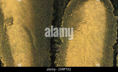 Glänzende Tinte. Farbfluss. Defokussierte goldene schwarze silberne Farbe schimmernde Flüssigkeit Spill funkelnde Luxus Flüssigkeit Mischung nasse Textur Bokeh abstrakte Kunst Hintergrund. Stockfoto