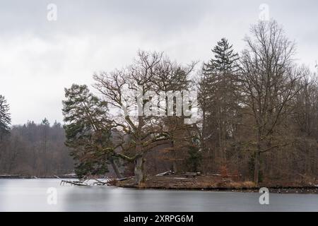 Bärenschlössle Park in Stuttgart, Baden-Württemberg, Deutschland Baden-Württemberg, im Winter Stockfoto