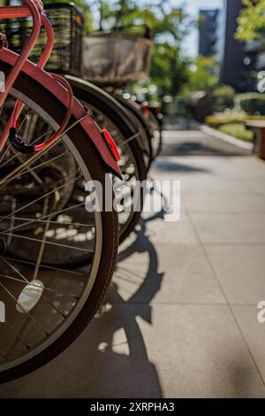 Fahrräder stehen in einer geordneten Reihe und werfen Schatten auf den sonnendurchfluteten Gehweg am frühen Morgen. Stockfoto