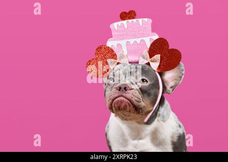 Lustiger französischer Bulldog Hund mit Stirnband mit Geburtstagsparty Kuchen und Herzen pn rosa Hintergrund mit Kopierraum Stockfoto