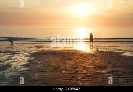 Sylt DDR,20240810, ferieninsel Sylt, Badeferien am Strand, Frau mit Hund *** Sylt DDR,20240810, Urlaubsinsel Sylt, Strandurlaub, Frau mit Hund Stockfoto