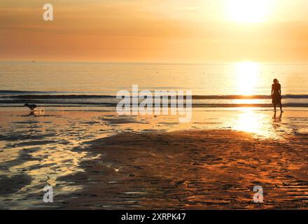 Sylt DDR,20240810, ferieninsel Sylt, Badeferien am Strand, Frau mit Hund *** Sylt DDR,20240810, Urlaubsinsel Sylt, Strandurlaub, Frau mit Hund Stockfoto