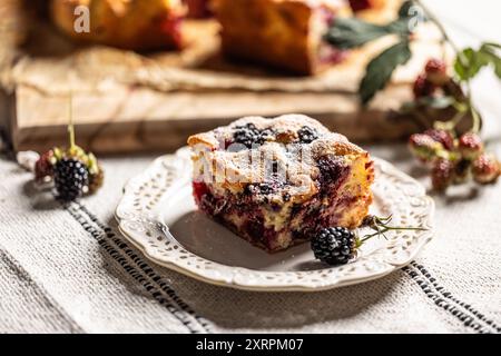 Frischer und heißer brombeerkuchen aus Brombeeren, Mehl und Eiern. Veganer Fruchtschwammkuchen. Stockfoto