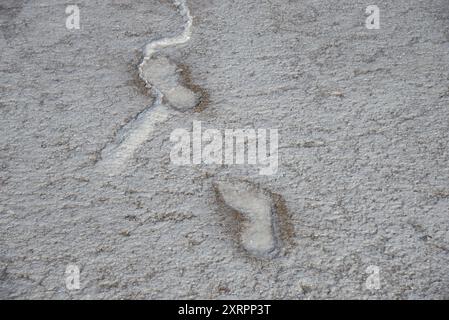 Spuren auf der Salzoberfläche. Lake Elton. Wolgograd Stockfoto