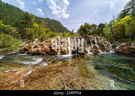 Doppelter Drachensee-Wasserfall, auch bekannt als Shuanglong, im Jiuzhaigou-Nationalpark, Sichuan, China. Stockfoto