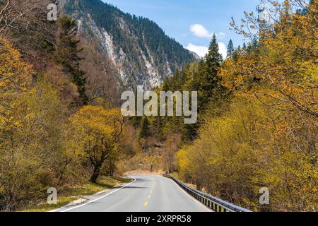 Fahrt im Jiuzhai-Tal-Nationalpark, China. Stockfoto