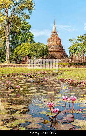 Lotusblumen vor dem Wat Sa Si Buddhistischen Tempel im Sukhothai Historical Park, Thailand Stockfoto