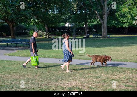 Windsor, Berkshire, Großbritannien. August 2024. Hundeschlittenläufer sind heute früh in Windsor, Berkshire, am heißesten Tag des Jahres. Quelle: Maureen McLean/Alamy Live News Stockfoto