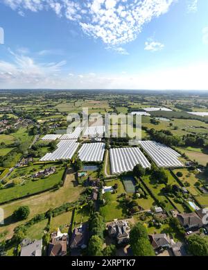 Blick nach Süden über den Weald of Kent von oberhalb des Dorfes Chart Sutton in der Nähe von Maidstone, Kent, Großbritannien. Juni Stockfoto