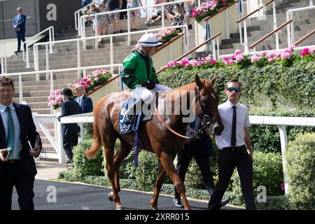 Ascot UK. August 2024. CRACKSKING mit Jockey Tadhg O'Shea gewinnt einen Platz bei der Dubai Duty Free Shergar Cup Challenge auf der Ascot Racecourse beim Duty Duty Free Shergar Cup Meeting. Besitzer Alison Swinburn und Mark Satori, Trainer James Fanshawe, Newmarket, Züchter Gestut Haus Ittlingen, Sponsor Pegasus Stables LLP. Kredit: Maureen McLean/Alamy Stockfoto