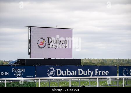 Ascot, Großbritannien. August 2024. Das Dubai Duty Free Shergar Cup-Rennen auf der Ascot Racecourse in Berkshire. Kredit: Maureen McLean/Alamy Stockfoto