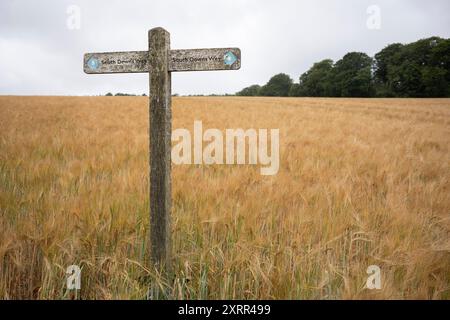 Ein Wegweiser zum South Downs Way am 10. August 2024 in Upwaltham, West Sussex, England. Stockfoto