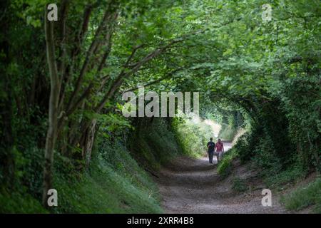 Die antike Stane Street (Römerstraße) wird von zwei Figuren am 8. August 2024 in Halnaker, England, genutzt. Die Stane (Stone) Street, die sich 56 km von London nach Chichester erstreckte, war ein alter Weg, der von der römischen Armee während der Besetzung Großbritanniens (Britannia) ab dem 1. Jahrhundert n. Chr. entwickelt wurde und seitdem in Abschnitten von nachfolgenden Stämmen und Völkern genutzt wird. Stockfoto