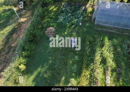 Gärtner, der Gras im Permakultur-Garten mit Gewächshaus mäht Stockfoto