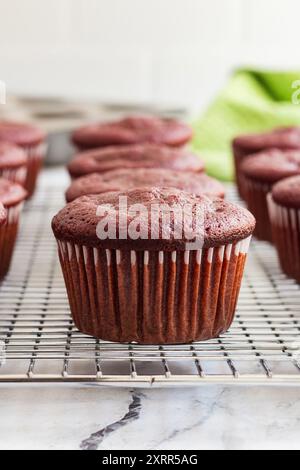 Frischer Rote-Bete-Schokoladen-Cupcake auf einem Drahtgestell Stockfoto