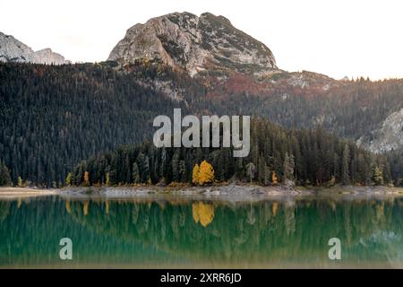 Ruhiger Herbstmorgen am Bergsee in Montenegro Stockfoto