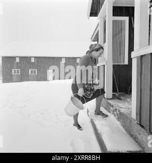 Aktuell 1-8-1968: Siljanbygda mit Hut in der Hand. Landbesitzer Gerhard Aage Treschow, Larvik, Eigentümer ca. 90 Prozent der Gemeinde Siljan in Telemark. Er entwässert jährlich enorme Mengen aus Siljans großen Wäldern, hat aber in den letzten fünf Jahren keinen Cent Einkommensteuer an dieselbe Gemeinde gezahlt. Und die Steuerregeln sind schuld. Zum ersten Mal erhielt Siljan 100.000 NOK vom Steuerausgleichsfonds. Der Pächter Håkon Helgerød in Grorud im hohen Norden Siljans ist im Wald, während seine Mutter und Frau Ruth mit den Weihnachtsvorbereitungen beschäftigt sind. Danach muss sie g Stockfoto