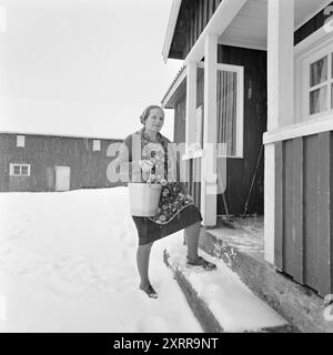 Aktuell 1-8-1968: Siljanbygda mit Hut in der Hand. Landbesitzer Gerhard Aage Treschow, Larvik, Eigentümer ca. 90 Prozent der Gemeinde Siljan in Telemark. Er entwässert jährlich enorme Mengen aus Siljans großen Wäldern, hat aber in den letzten fünf Jahren keinen Cent Einkommensteuer an dieselbe Gemeinde gezahlt. Und die Steuerregeln sind schuld. Zum ersten Mal erhielt Siljan 100.000 NOK vom Steuerausgleichsfonds. Der Pächter Håkon Helgerød in Grorud im hohen Norden Siljans ist im Wald, während seine Mutter und Frau Ruth mit den Weihnachtsvorbereitungen beschäftigt sind. Danach muss sie g Stockfoto