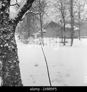 Aktuell 1-8-1968: Siljanbygda mit Hut in der Hand. Landbesitzer Gerhard Aage Treschow, Larvik, Eigentümer ca. 90 Prozent der Gemeinde Siljan in Telemark. Er entwässert jährlich enorme Mengen aus Siljans großen Wäldern, hat aber in den letzten fünf Jahren keinen Cent Einkommensteuer an dieselbe Gemeinde gezahlt. Und die Steuerregeln sind schuld. Zum ersten Mal erhielt Siljan 100.000 NOK vom Steuerausgleichsfonds. Foto: Aage Storløkken / aktuell / NTB ***FOTO NICHT VERARBEITET*** dieser Bildtext wird automatisch übersetzt dieser Bildtext wird automatisch übersetzt Stockfoto