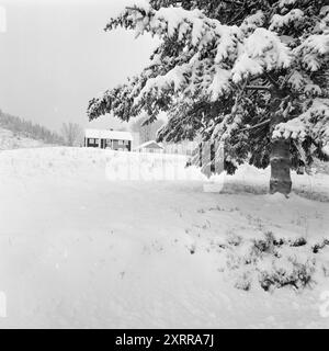 Aktuell 1-8-1968: Siljanbygda mit Hut in der Hand. Landbesitzer Gerhard Aage Treschow, Larvik, Eigentümer ca. 90 Prozent der Gemeinde Siljan in Telemark. Er entzieht jedes Jahr riesige Geldbeträge aus Siljans großen Wäldern, hat aber in den letzten fünf Jahren keinen Cent Einkommensteuer an dieselbe Gemeinde gezahlt. Und die Steuerregeln sind schuld. Zum ersten Mal erhielt Siljan 100.000 NOK vom Steuerausgleichsfonds. Foto: Aage Storløkken / aktuell / NTB ***FOTO NICHT VERARBEITET*** dieser Bildtext wird automatisch übersetzt dieser Bildtext wird automatisch übersetzt Stockfoto