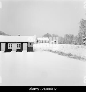 Aktuell 1-8-1968: Siljanbygda mit Hut in der Hand. Landbesitzer Gerhard Aage Treschow, Larvik, Eigentümer ca. 90 Prozent der Gemeinde Siljan in Telemark. Er entwässert jährlich enorme Mengen aus Siljans großen Wäldern, hat aber in den letzten fünf Jahren keinen Cent Einkommensteuer an dieselbe Gemeinde gezahlt. Und die Steuerregeln sind schuld. Zum ersten Mal erhielt Siljan 100.000 NOK vom Steuerausgleichsfonds. Foto: Aage Storløkken / aktuell / NTB ***FOTO NICHT VERARBEITET*** dieser Bildtext wird automatisch übersetzt dieser Bildtext wird automatisch übersetzt Stockfoto