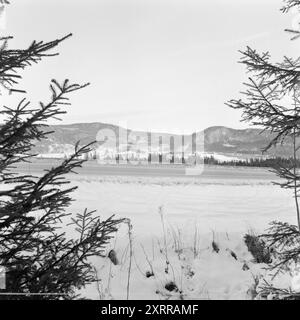 Aktuell 1-8-1968: Siljanbygda mit Hut in der Hand. Landbesitzer Gerhard Aage Treschow, Larvik, Eigentümer ca. 90 Prozent der Gemeinde Siljan in Telemark. Er entzieht jedes Jahr riesige Geldbeträge aus Siljans großen Wäldern, hat aber in den letzten fünf Jahren keinen Cent Einkommensteuer an dieselbe Gemeinde gezahlt. Und die Steuerregeln sind schuld. Zum ersten Mal erhielt Siljan 100.000 NOK vom Steuerausgleichsfonds. Foto: Aage Storløkken / aktuell / NTB ***FOTO NICHT VERARBEITET*** dieser Bildtext wird automatisch übersetzt dieser Bildtext wird automatisch übersetzt Stockfoto