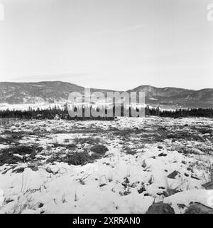 Aktuell 1-8-1968: Siljanbygda mit Hut in der Hand. Landbesitzer Gerhard Aage Treschow, Larvik, Eigentümer ca. 90 Prozent der Gemeinde Siljan in Telemark. Er entzieht jedes Jahr riesige Geldbeträge aus Siljans großen Wäldern, hat aber in den letzten fünf Jahren keinen Cent Einkommensteuer an dieselbe Gemeinde gezahlt. Und die Steuerregeln sind schuld. Zum ersten Mal erhielt Siljan 100.000 NOK vom Steuerausgleichsfonds. Foto: Aage Storløkken / aktuell / NTB ***FOTO NICHT VERARBEITET*** dieser Bildtext wird automatisch übersetzt dieser Bildtext wird automatisch übersetzt Stockfoto