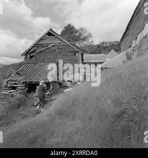 Aktuell 30-7-1968: Der Werft aus der Vergangenheit. Havråtunet on Osterøy in Hordaland wird erstmals 1303 schriftlich erwähnt. Vermutlich ist es noch älter. Der Hof wird jetzt restauriert, um ihn für die Nachwelt zu erhalten. (Havråtunet wurde 1998 durch das Kulturerbegesetz geschützt). Foto: Sverre A. Børretzen / aktuell / NTB ***FOTO NICHT VERARBEITET*** dieser Bildtext wird automatisch übersetzt dieser Bildtext wird automatisch übersetzt Stockfoto