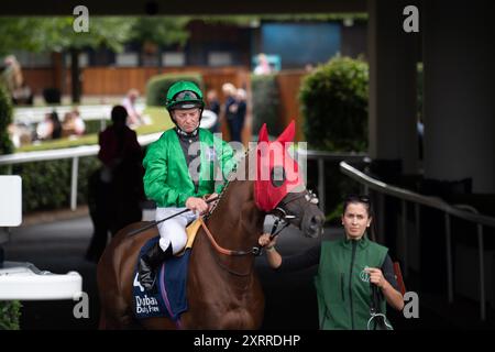 Ascot, Großbritannien. August 2024. MINA RASHID, geritten von Jockey Seamie Heffernan, begibt sich auf die Rennstrecke für die Dubai Duty Free Shergar Cup Class (Klasse 3 Handicap) auf der Ascot Racecourse in Berkshire beim Dubai Duty Free Shergar Cup Meeting. Besitzer Ahmad Al Shaikh, Trainer Andrew Balding, Kingsclere, Züchter London Thoroughbred Services Ltd, Sponsor Green Team Racing Stall. Kredit: Maureen McLean/Alamy Stockfoto