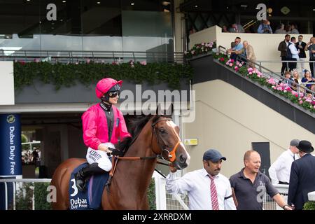 Ascot, Großbritannien. August 2024. HOUSTONN fährt mit Jockey Marie Velon auf die Rennstrecke für die Dubai Duty Free Shergar Cup Class (Klasse 3 Handicap) auf der Ascot Racecourse in Berkshire beim Dubai Duty Free Shergar Cup Meeting. Besitzerin Johnny de la Hay, Trainer Richard Hannon, Marlborough, Züchter Sun Kingdom Pty Ltd, Sponsor Tote. Kredit: Maureen McLean/Alamy Stockfoto