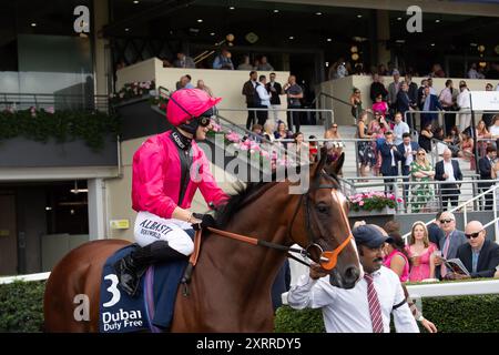 Ascot, Großbritannien. August 2024. HOUSTONN fährt mit Jockey Marie Velon auf die Rennstrecke für die Dubai Duty Free Shergar Cup Class (Klasse 3 Handicap) auf der Ascot Racecourse in Berkshire beim Dubai Duty Free Shergar Cup Meeting. Besitzerin Johnny de la Hay, Trainer Richard Hannon, Marlborough, Züchter Sun Kingdom Pty Ltd, Sponsor Tote. Kredit: Maureen McLean/Alamy Stockfoto