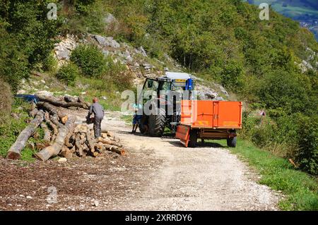 HAUTE-SAVOIE, FRANKREICH - 25. AUGUST 2015: Mann mit STIHL-Kettensäge, die Baumstämme schneidet und seine Kinder warten neben einem Traktor mit orangefarbenem Anhänger. Sti Stockfoto