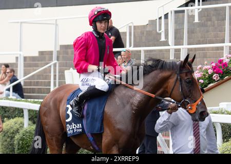 Ascot, Großbritannien. August 2024. HOUSTONN, geritten von Jockey Marie Velon, gewinnt einen Platz in der Dubai Duty Free Shergar Cup Klasse (Klasse 3 Handicap) auf der Ascot Racecourse in Berkshire beim Dubai Duty Free Shergar Cup Meeting. Besitzerin Johnny de la Hay, Trainer Richard Hannon, Marlborough, Züchter Sun Kingdom Pty Ltd, Sponsor Tote. Kredit: Maureen McLean/Alamy Stockfoto