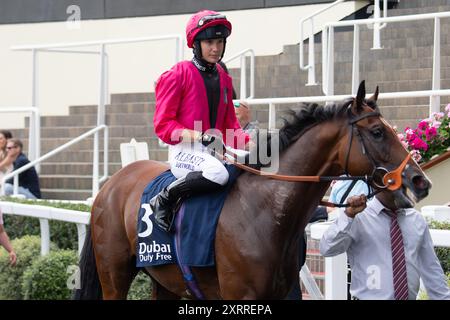 Ascot, Großbritannien. August 2024. HOUSTONN, geritten von Jockey Marie Velon, gewinnt einen Platz in der Dubai Duty Free Shergar Cup Klasse (Klasse 3 Handicap) auf der Ascot Racecourse in Berkshire beim Dubai Duty Free Shergar Cup Meeting. Besitzerin Johnny de la Hay, Trainer Richard Hannon, Marlborough, Züchter Sun Kingdom Pty Ltd, Sponsor Tote. Kredit: Maureen McLean/Alamy Stockfoto