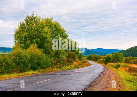 Leere asphaltierte Bergstraße in der Nähe des Laubwaldes mit bewölktem Himmel im Morgenlicht Stockfoto