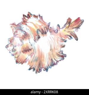 Muschelisolat der Unterwasserwelt in Aquarellen. Murex Endivia Muschel mit volumetrischer, geriffelter, gehörnter Form. Schönes Meeresschneckenhaus kann benutzt werden Stockfoto