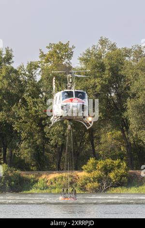 Calfire UH-1 Helikopter, der Wasser aus dem Mary Lake in Redding Kalifornien holt, um das untere Feuer am 10. August 2024 zu bekämpfen. Stockfoto