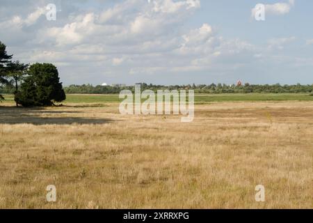 Offene Heide im Küstengebiet von Suffolk mit Blick auf Thorpeness House in the Clouds und das Kernkraftwerk Sizewell. Stockfoto