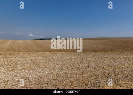 An einem sonnigen Sommertag bietet sich ein Blick über das Ackerland in Sussex Stockfoto