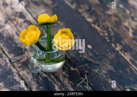 Gelbe Seerose, eine ausdauernde Wasserpflanze, ein Blumenstrauß aus gelben Seerosen in einem Glas auf einem Holztisch Stockfoto